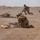 Marines in Helmand province train to avoid complacency