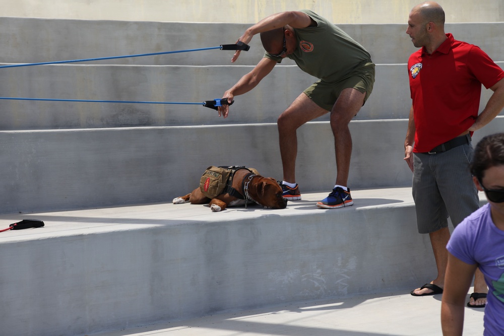 USMC Wounded Warrior Regiment Warrior Athlete Reconditioning Program Swim Camp