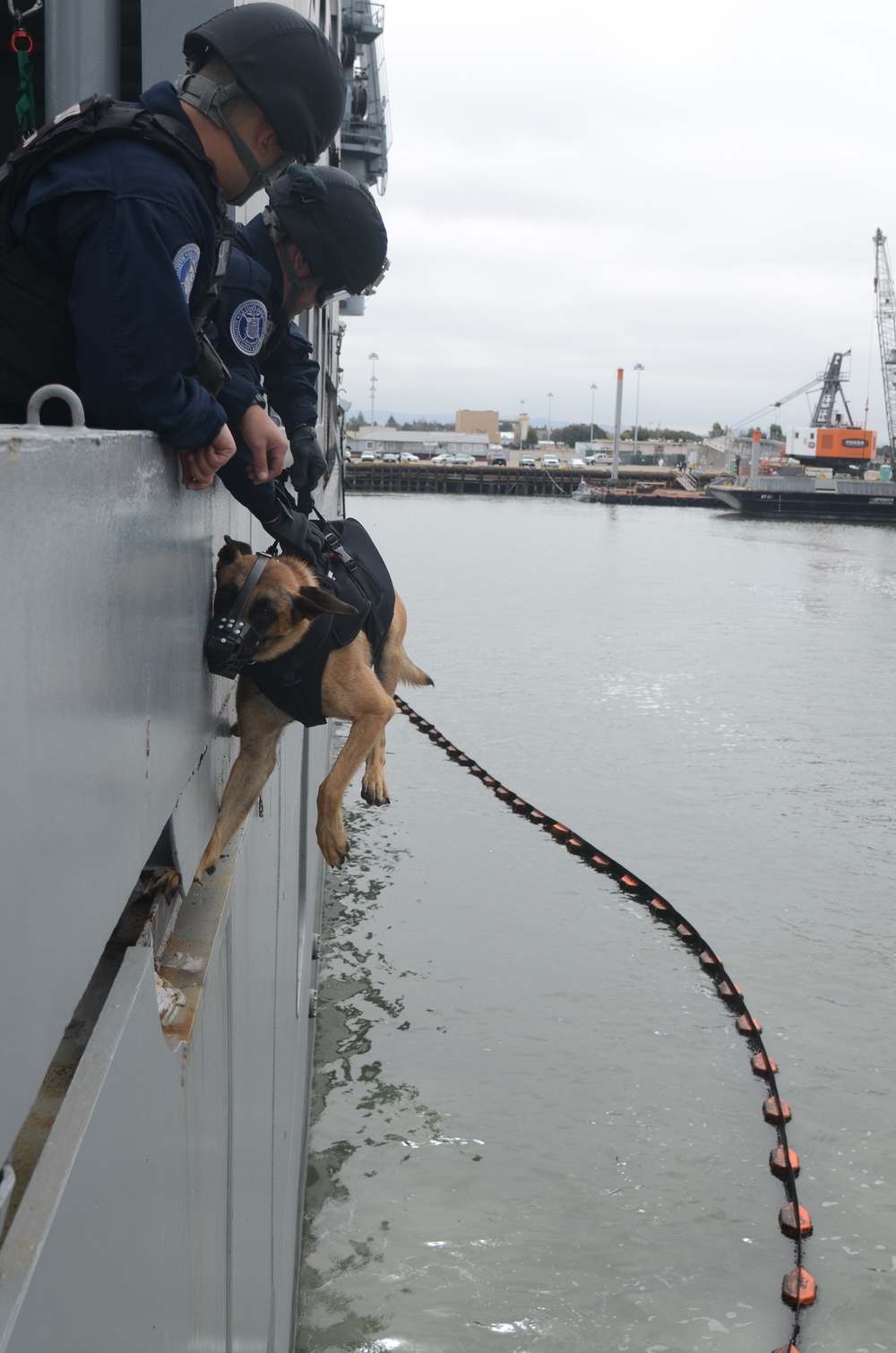 Coast Guard K-9 teams conduct training with police department