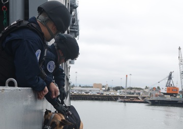 Coast Guard K-9 teams conduct training with police department
