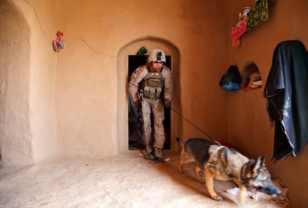 U.S. Marines with Fox Co., 2/2, conduct counter insurgency operations in Helmand province