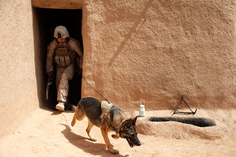 U.S. Marines with Fox Co., 2/2, conduct counter insurgency operations in Helmand province