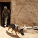 U.S. Marines with Fox Co., 2/2, conduct counter insurgency operations in Helmand province