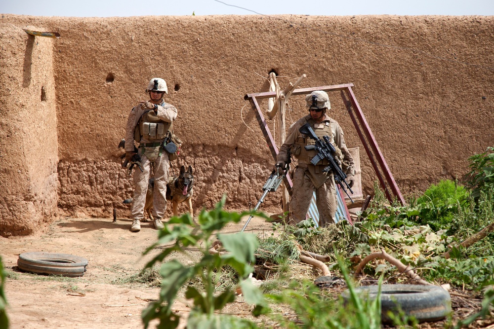 U.S. Marines with Fox Co., 2/2, conduct counter insurgency operations in Helmand province