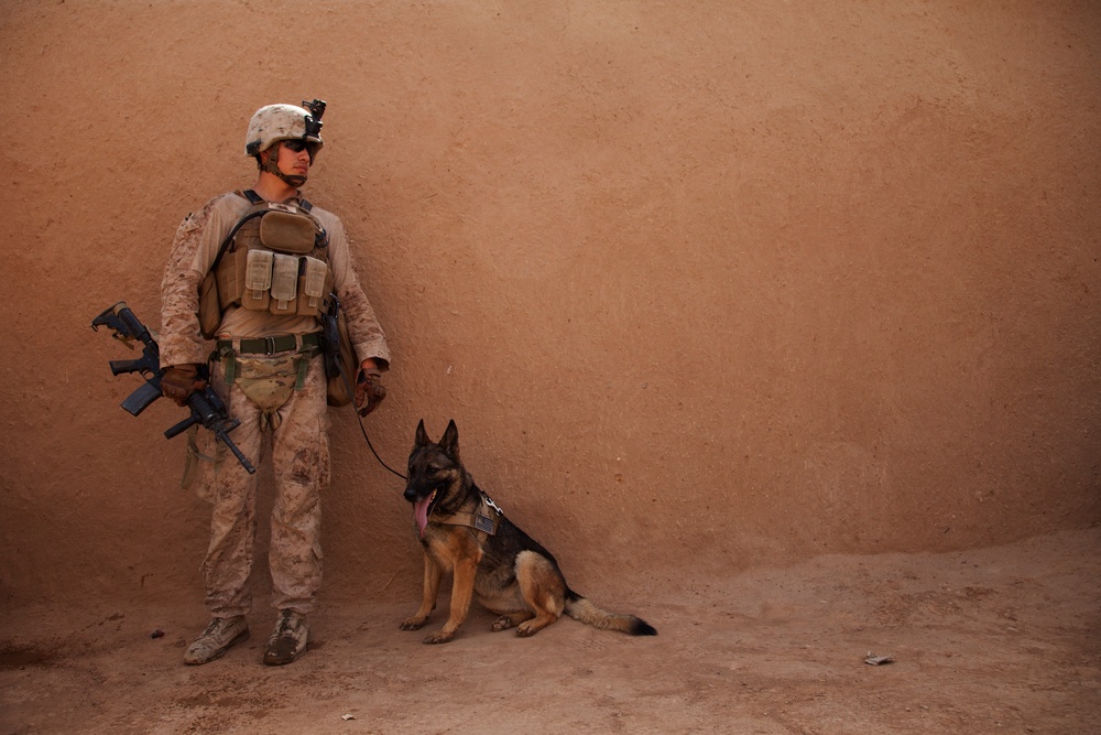 U.S. Marines with Fox Co., 2/2, conduct counter insurgency operations in Helmand province