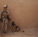 U.S. Marines with Fox Co., 2/2, conduct counter insurgency operations in Helmand province