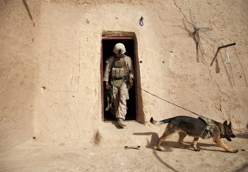 Fox Co., 2/2 Marines conduct Operation Grizzly Part 1