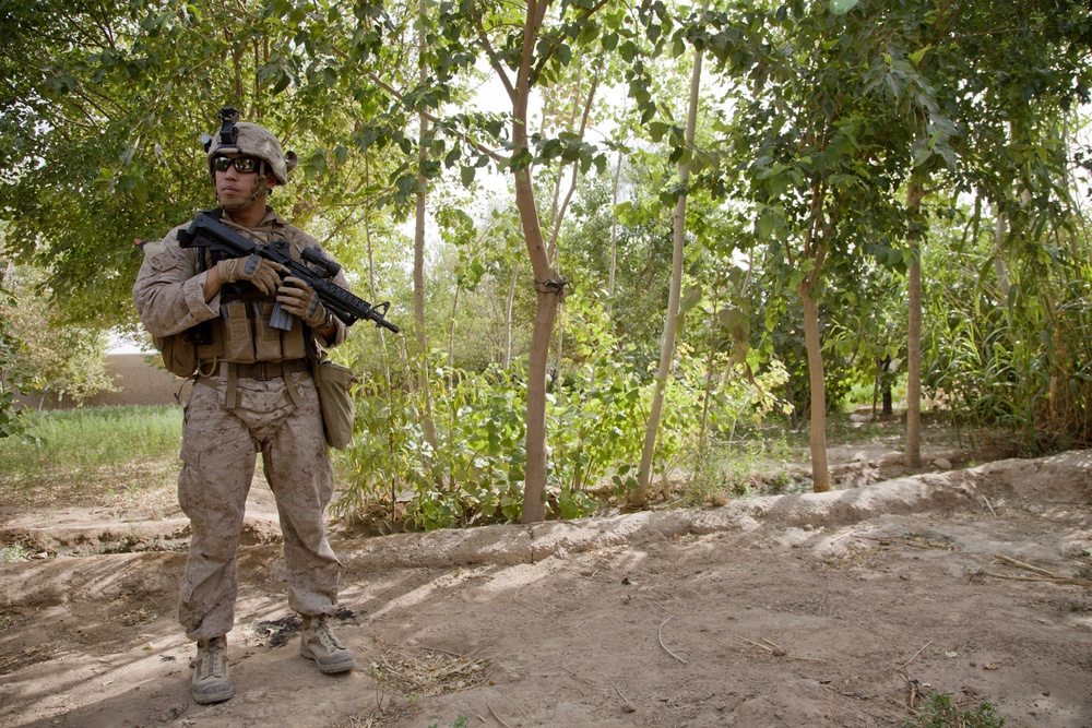 Fox Co., 2/2 Marines conduct Operation Grizzly Part 1