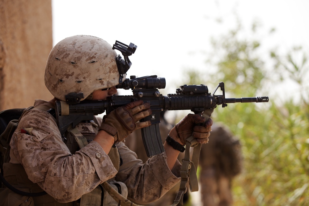 Fox Co., 2/2 Marines conduct Operation Grizzly Part 2