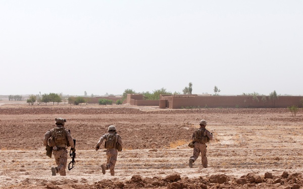 Fox Co., 2/2 Marines conduct Operation Grizzly Part 2