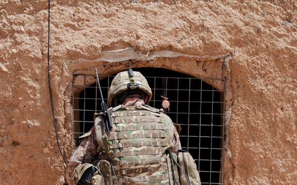 Fox Co., 2/2 Marines conduct Operation Grizzly Part 2