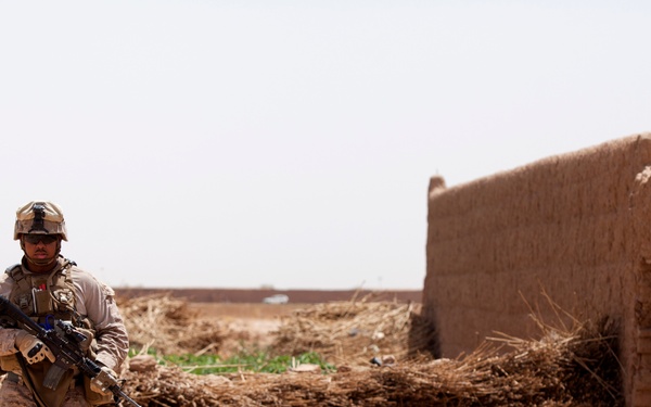 Fox Co., 2/2 Marines conduct Operation Grizzly Part 2