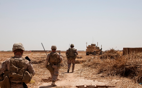 Fox Co., 2/2 Marines conduct Operation Grizzly Part 2