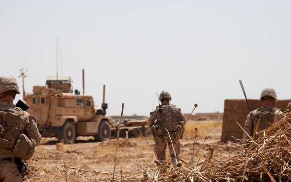 Fox Co., 2/2 Marines conduct Operation Grizzly Part 2