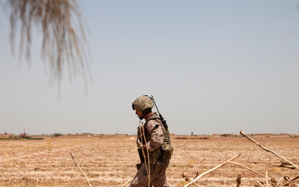Fox Co., 2/2 Marines conduct Operation Grizzly Part 2