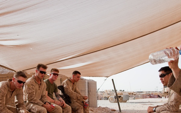 Fox Co., 2/2 Marines conduct Operation Grizzly Part 2