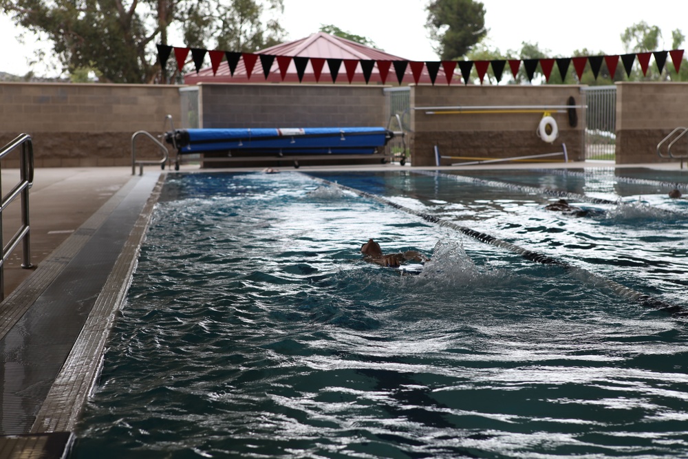 USMC Wounded Warrior Regiment Warrior Athlete Reconditioning Program Swim Camp