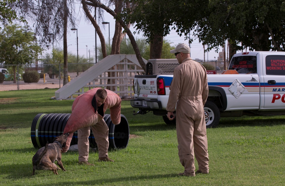 Law Enforcement Academy trains aboard MCAS Yuma