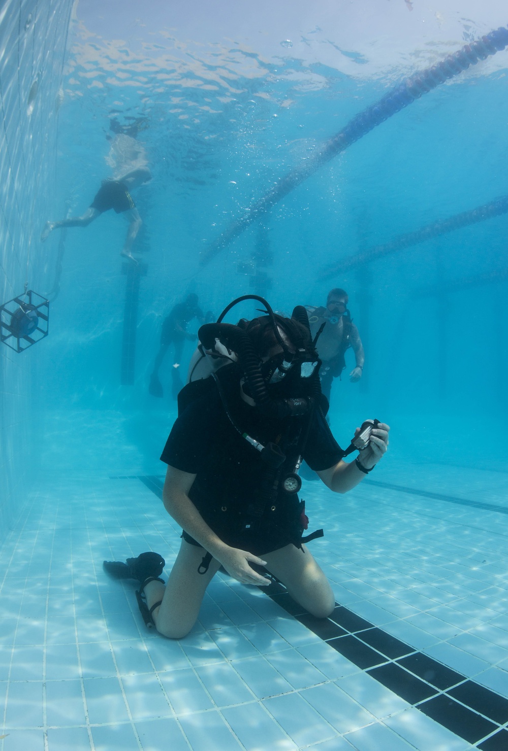 Anti-Terrorism Force Protection inspection dive