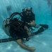 Anti-Terrorism Force Protection inspection dive