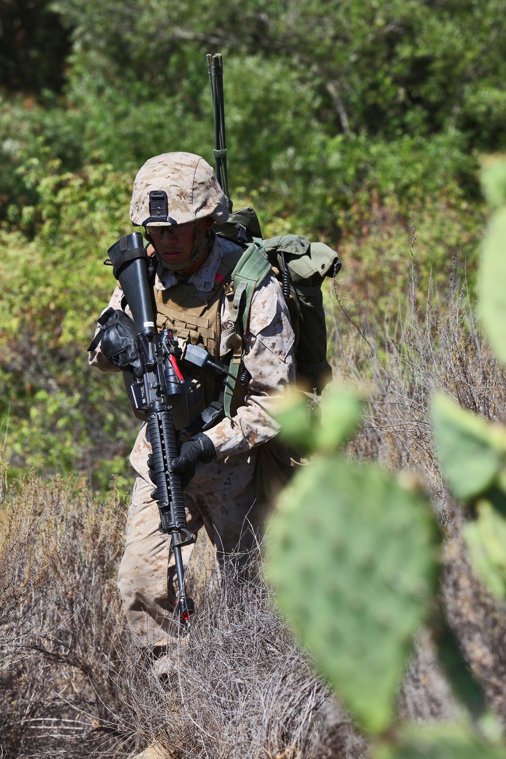 Every Marine a rifleman: CLB-7 attends BCS Course