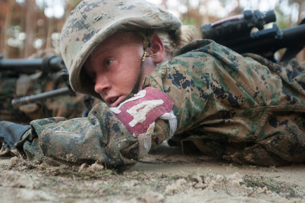 Photo Gallery: Marine recruits gain combat skills on Parris Island