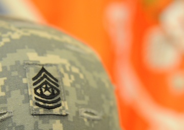 Battalion command sergeant major honored