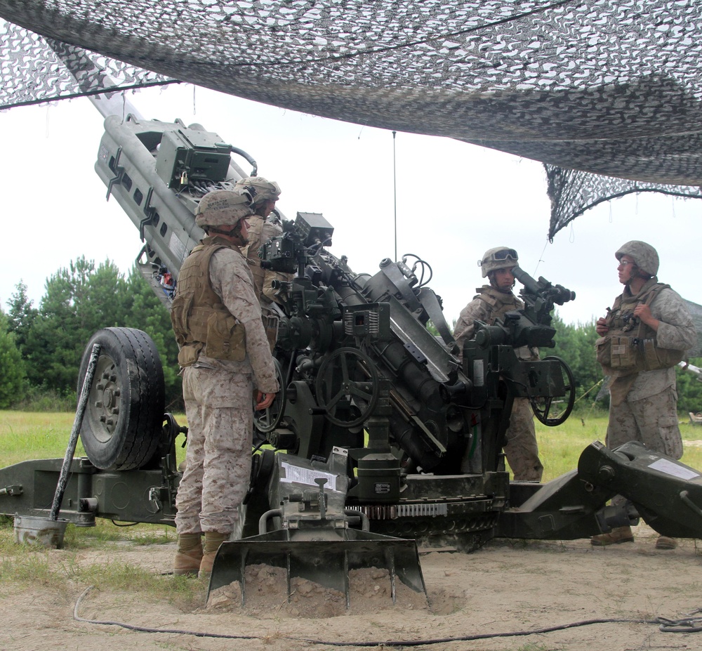 10th Marines, ANGLICO join forces for training