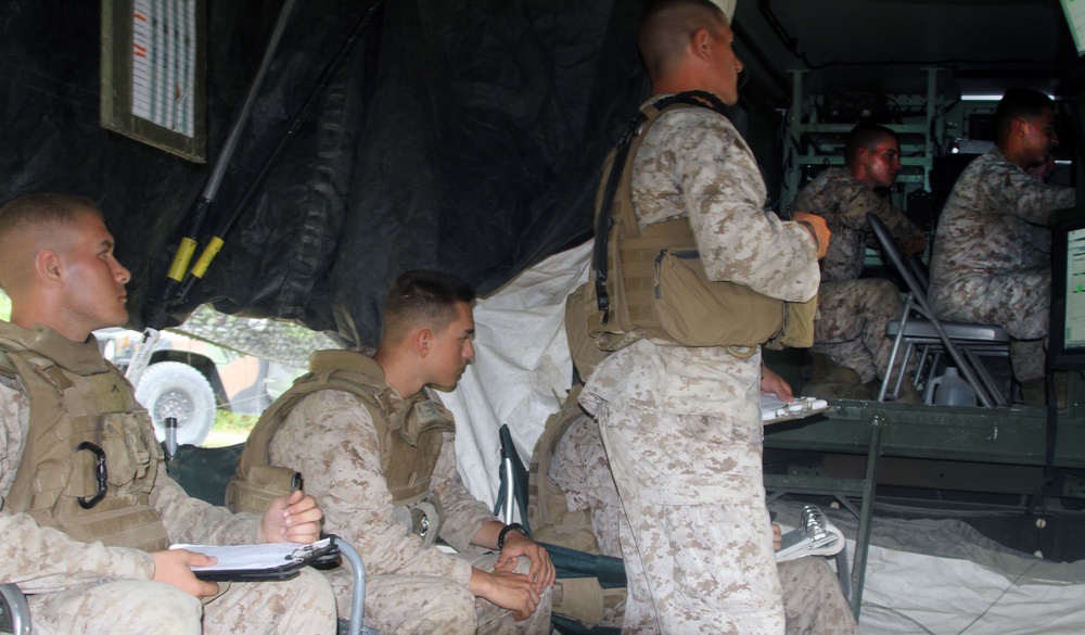 10th Marines, ANGLICO join forces for training