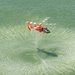 Coast Guard training flight