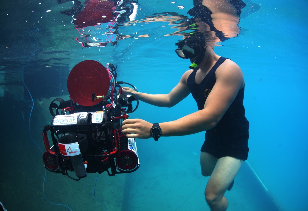 RoboSub 2013