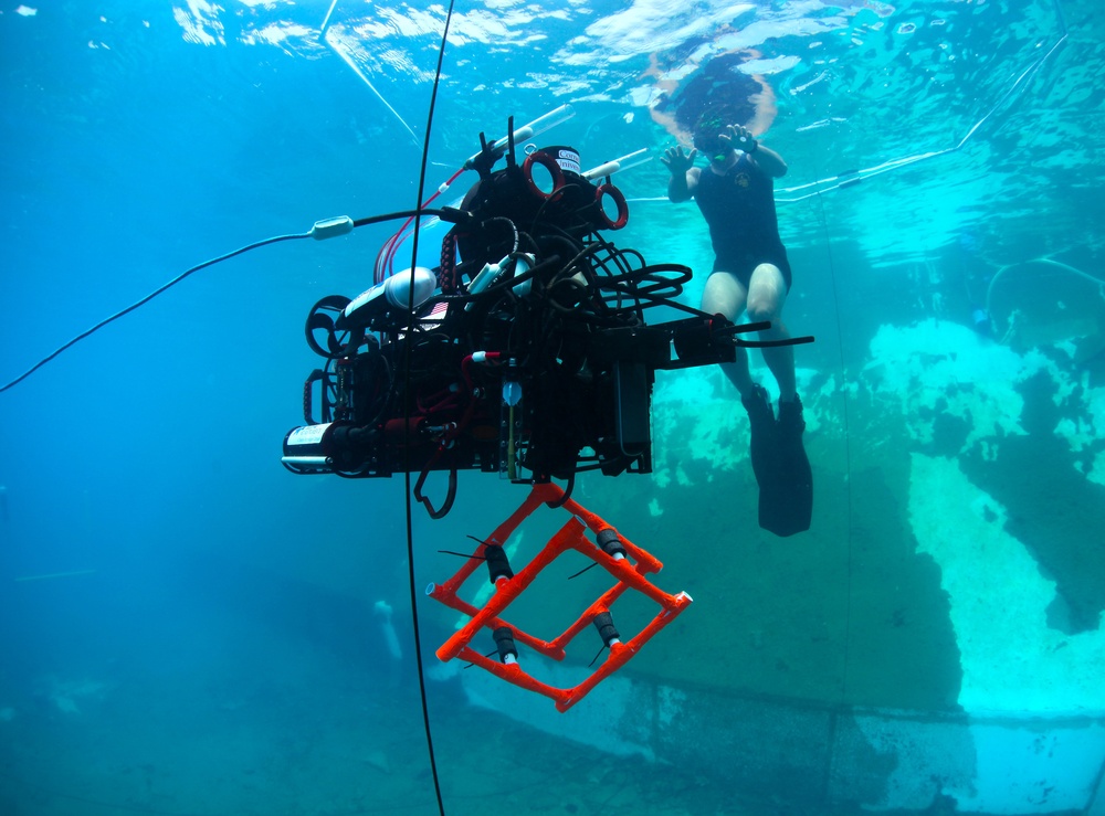 RoboSub 2013