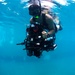 RoboSub 2013