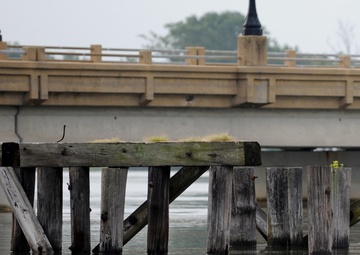 940 miles: Langley ospreys find new home