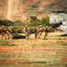Landing Support Marines prove sky is the limit during HST training