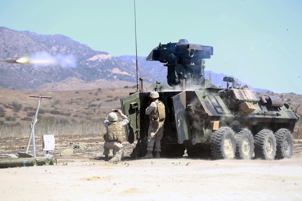 Riflemen learn basics of LAV weapons systems