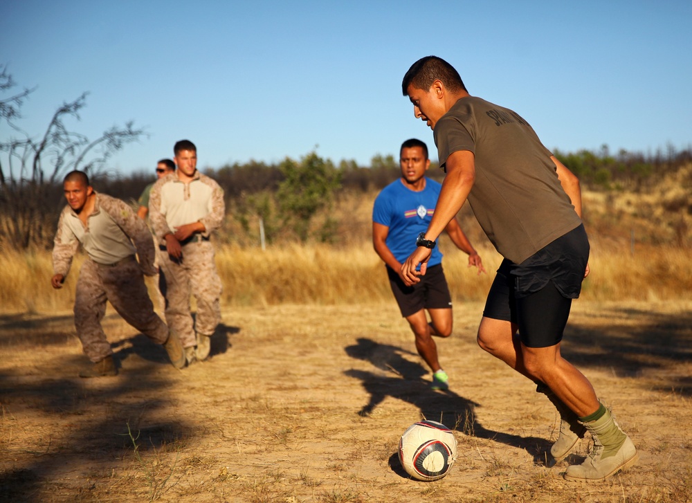Newest Marine unit trains with Spanish soldiers