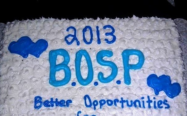 BOSP members who strive to serve: Part 1 The creative volunteer