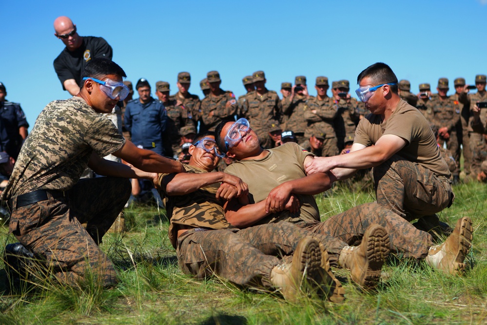 Taser Qualification / Classroom Training – NOLES 2013