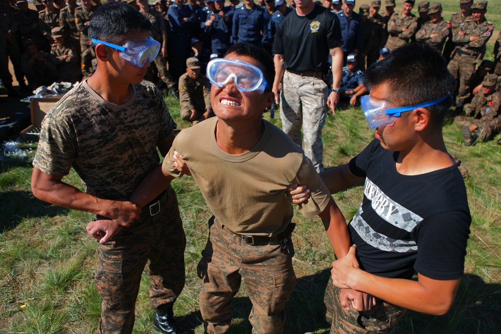 Taser Qualification / Classroom Training – NOLES 2013