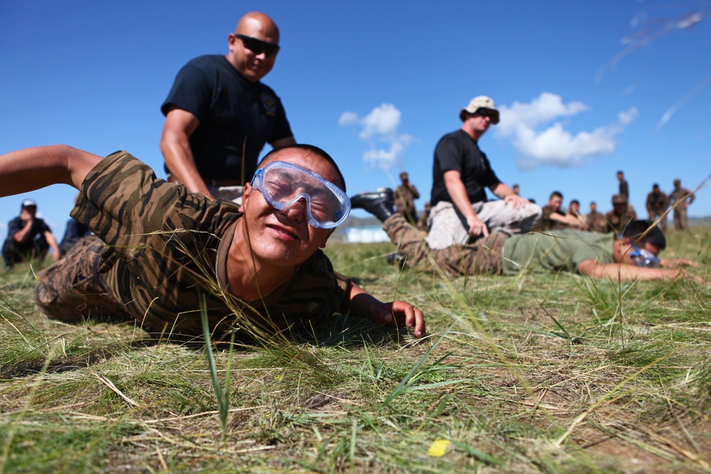 Taser Qualification / Classroom Training – NOLES 2013