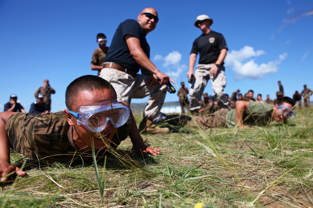 Taser Qualification / Classroom Training – NOLES 2013