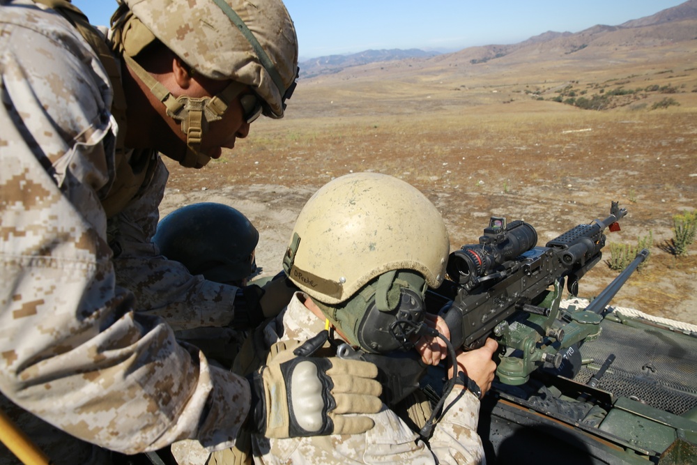 Riflemen learn basics of LAV weapons systems