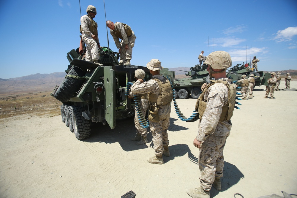 Riflemen learn basics of LAV weapons systems