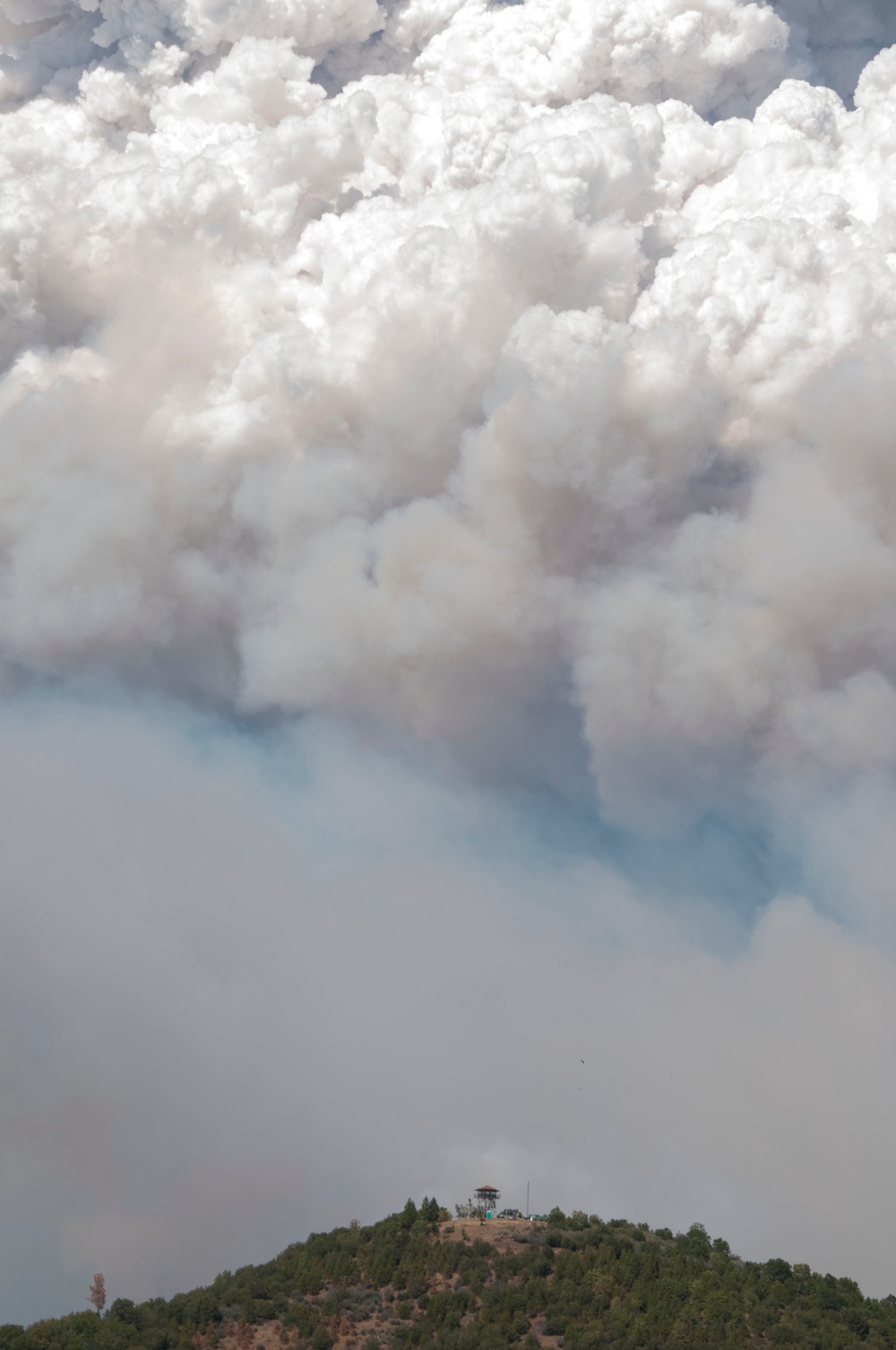 California National Guard fights Rim fire near Yosemite