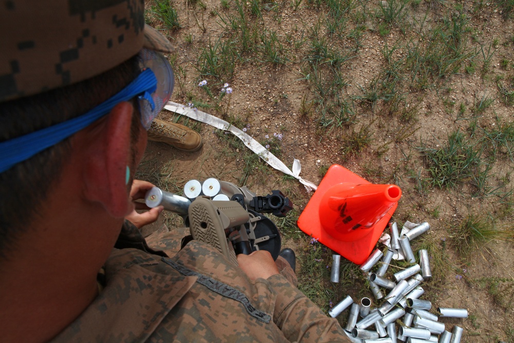 Non-lethal weapons live fire – NOLES 2013