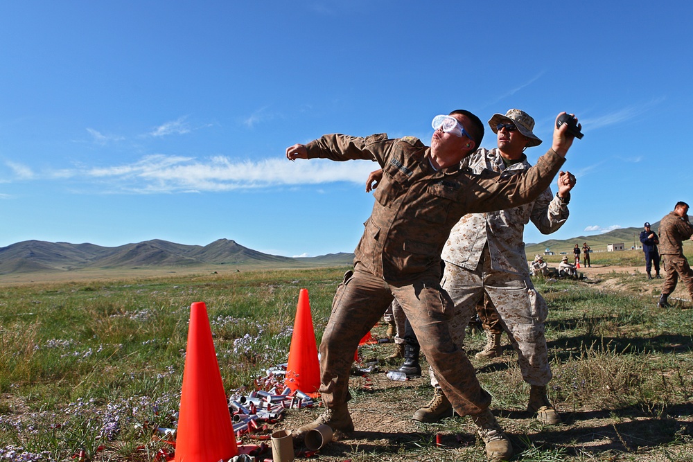 Non-lethal weapons live fire – NOLES 2013