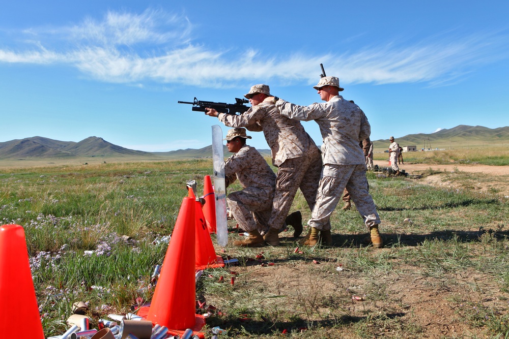 Non-lethal weapons live fire – NOLES 2013