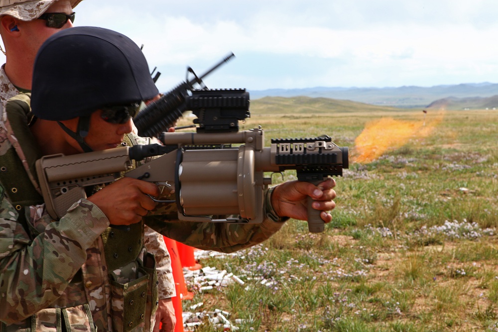 Non-lethal weapons live fire – NOLES 2013