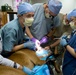 Dog dentistry